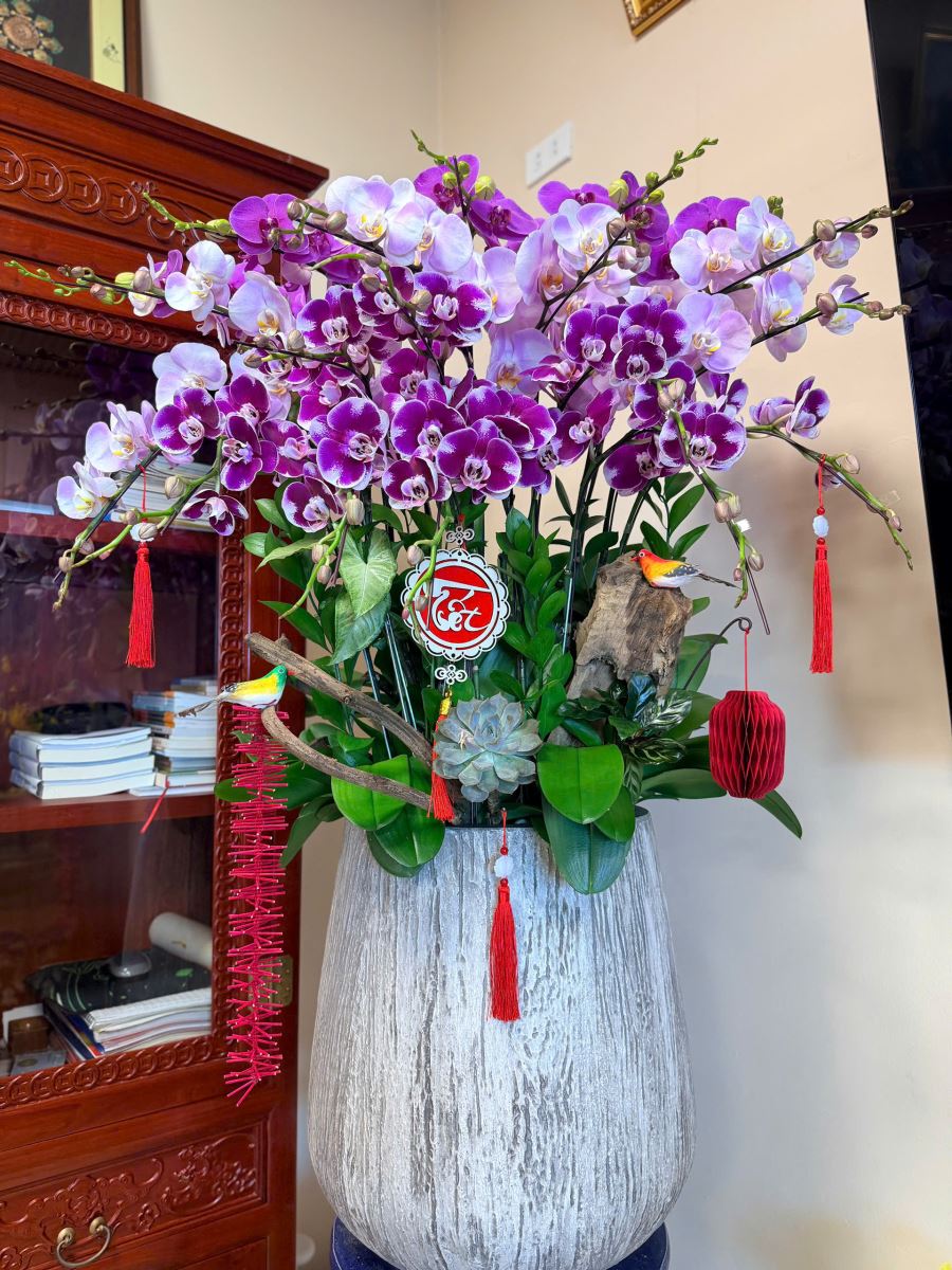 兰花的意义